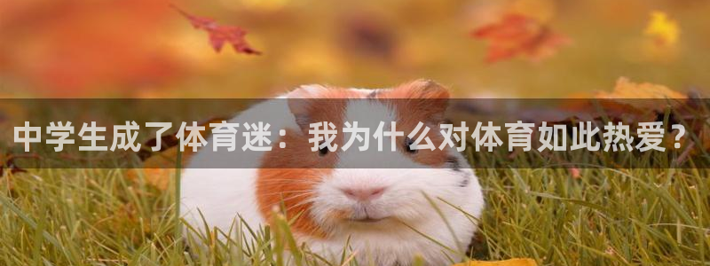 必威betway西汉姆联