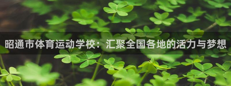 betway西汉姆官网