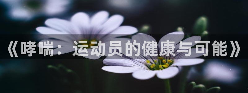 betway西汉姆联官网