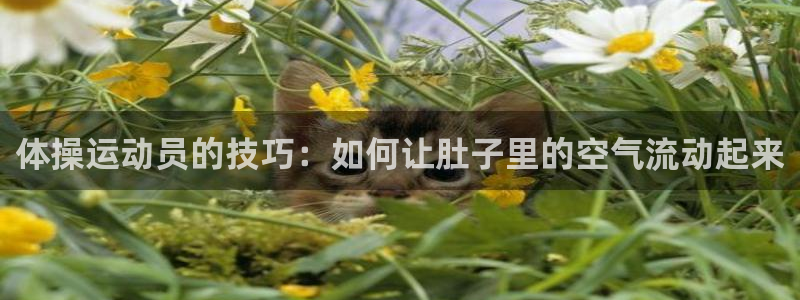 betway西汉姆联官网