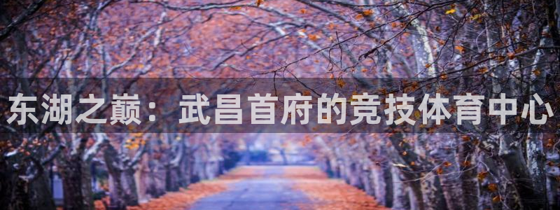 betway西汉姆