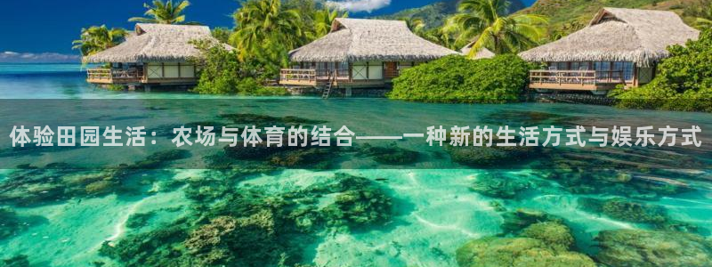 必威betway西汉姆联