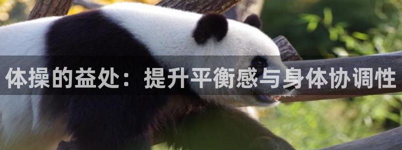 betway西汉姆