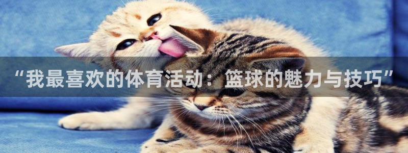 betway西汉姆联官网