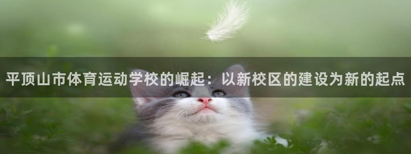 betway西汉姆联
